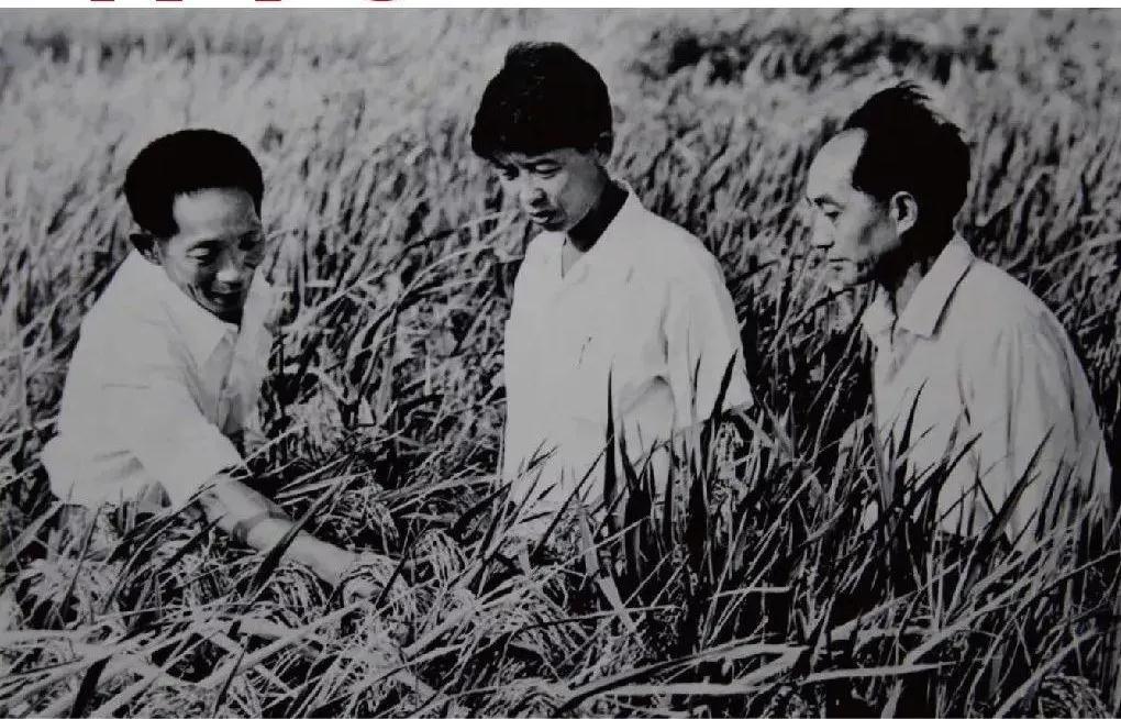 微信图片_20210616162754.jpg 微信图片_20210616162754.jpg